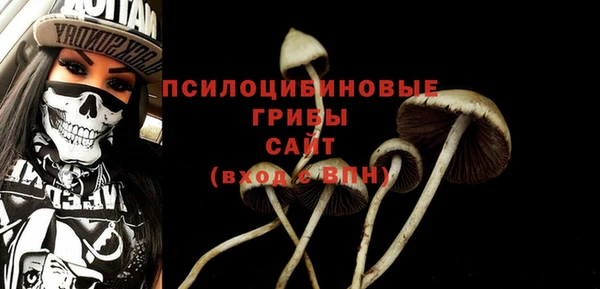 jwh Аркадак