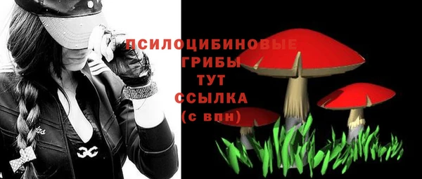 jwh Аркадак