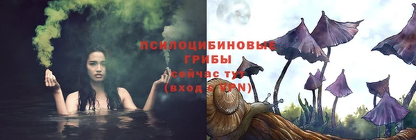 jwh Аркадак