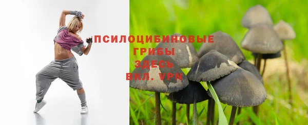 твердый Армянск