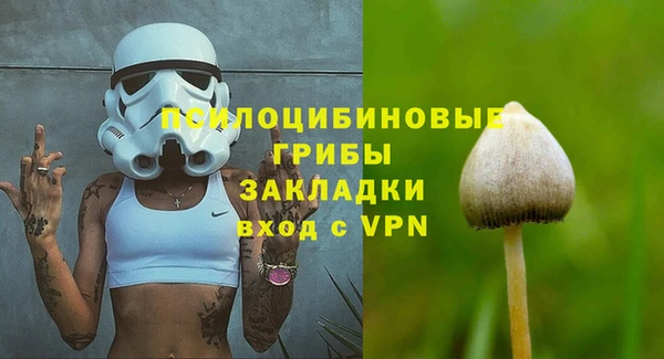 твердый Армянск