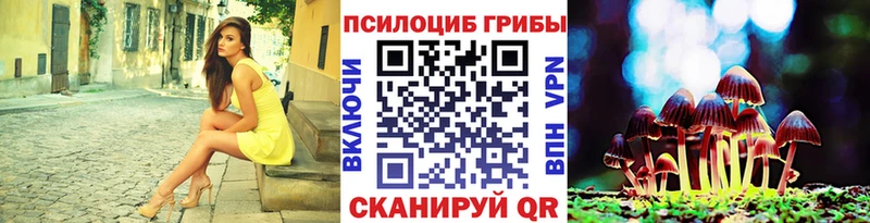 нарко площадка как зайти Фатеж Псилоцибиновые грибы Cubensis